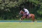 7th Heritage Polo Cup semi-finals: La Golondrina Argentina Brownie Taylor (0) GB..
Hurtwood Park Polo Club,
Ewhurst Green,
Surrey,
United Kingdom,
on 04 August 2012 at 15:50, image #287