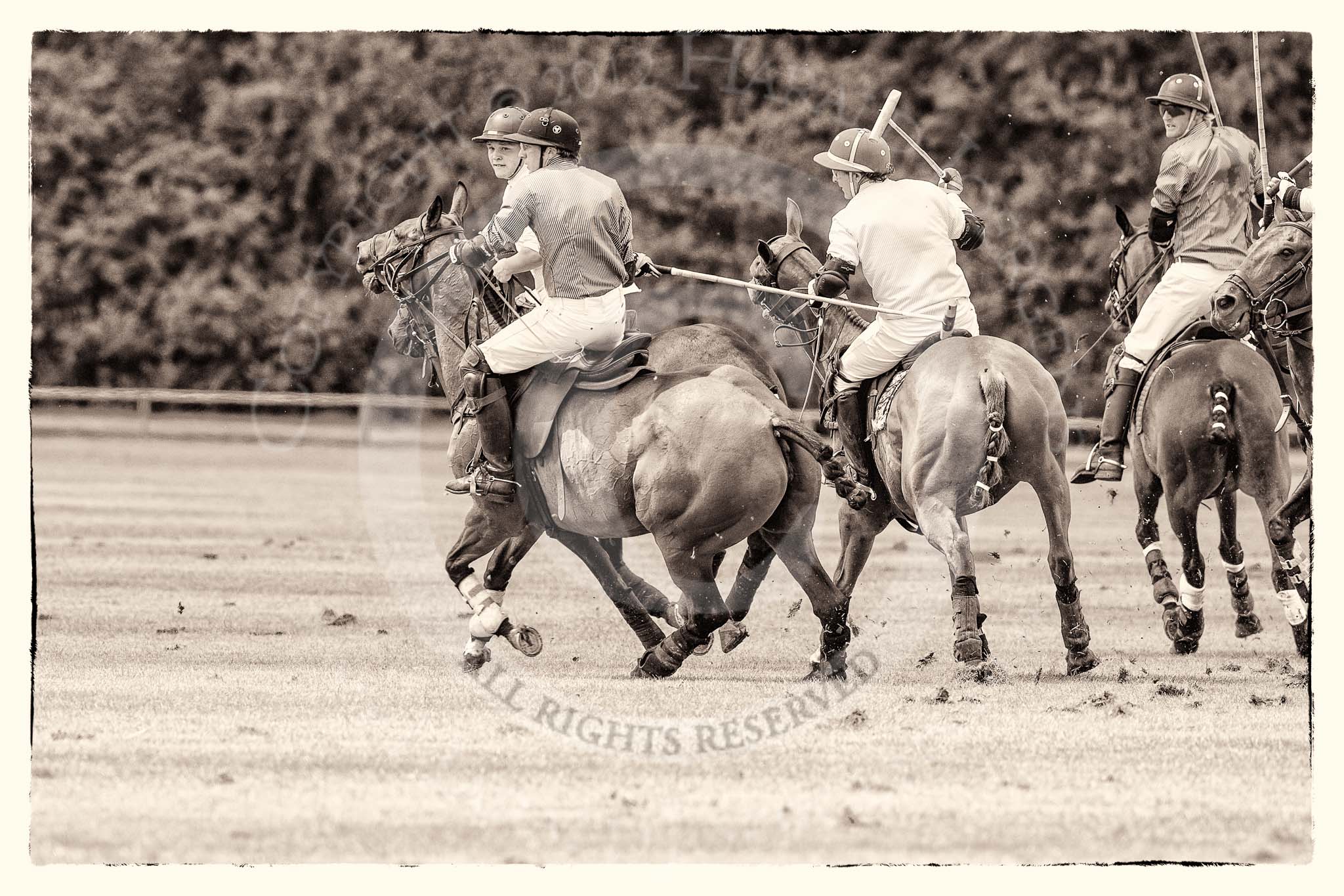 7th Heritage Polo Cup finals: John Martin, Team Silver Fox USA..
Hurtwood Park Polo Club,
Ewhurst Green,
Surrey,
United Kingdom,
on 05 August 2012 at 13:37, image #35