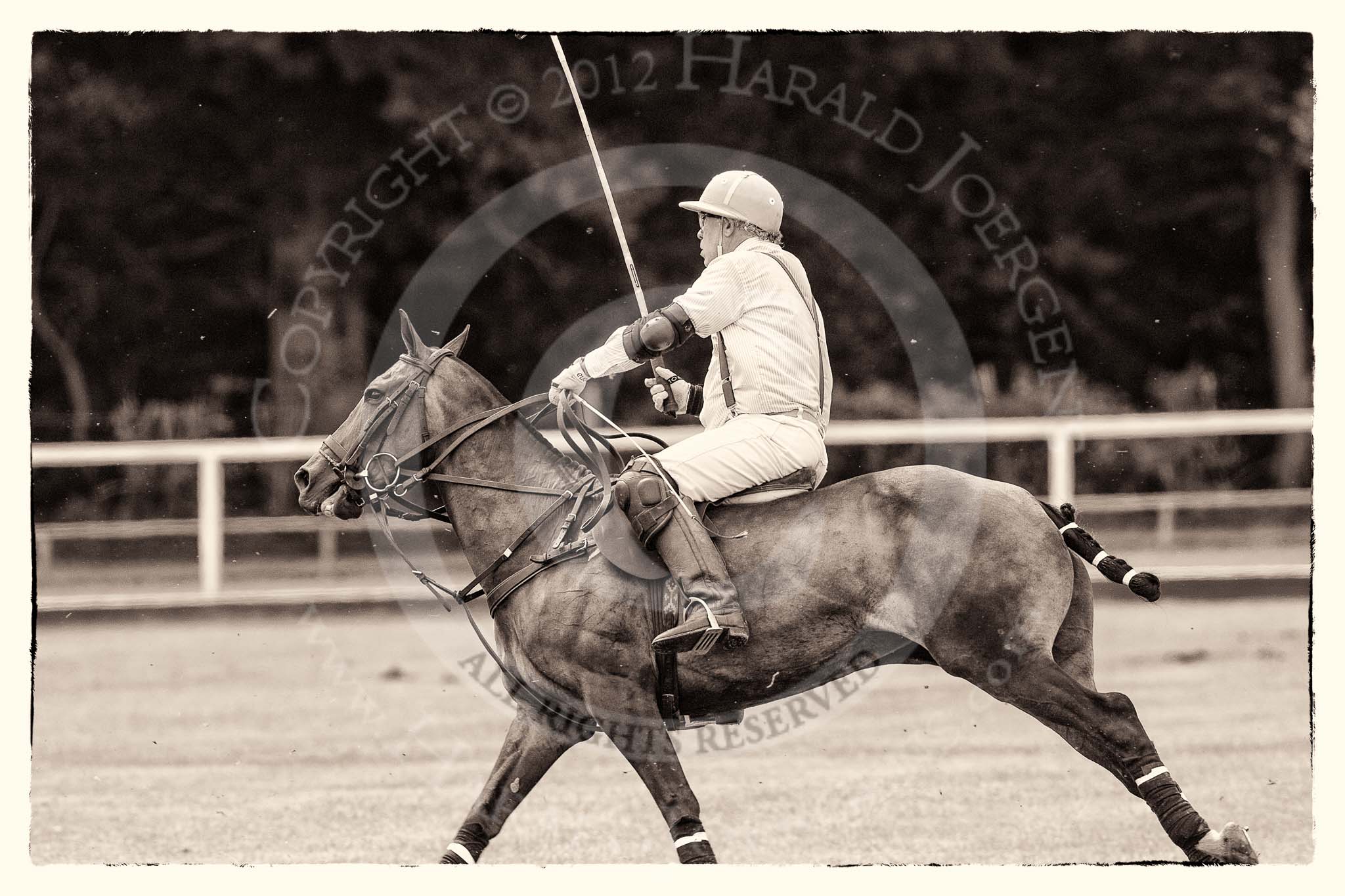 7th Heritage Polo Cup finals: La Mariposa Argentina, Mariano Darritchon..
Hurtwood Park Polo Club,
Ewhurst Green,
Surrey,
United Kingdom,
on 05 August 2012 at 13:37, image #36