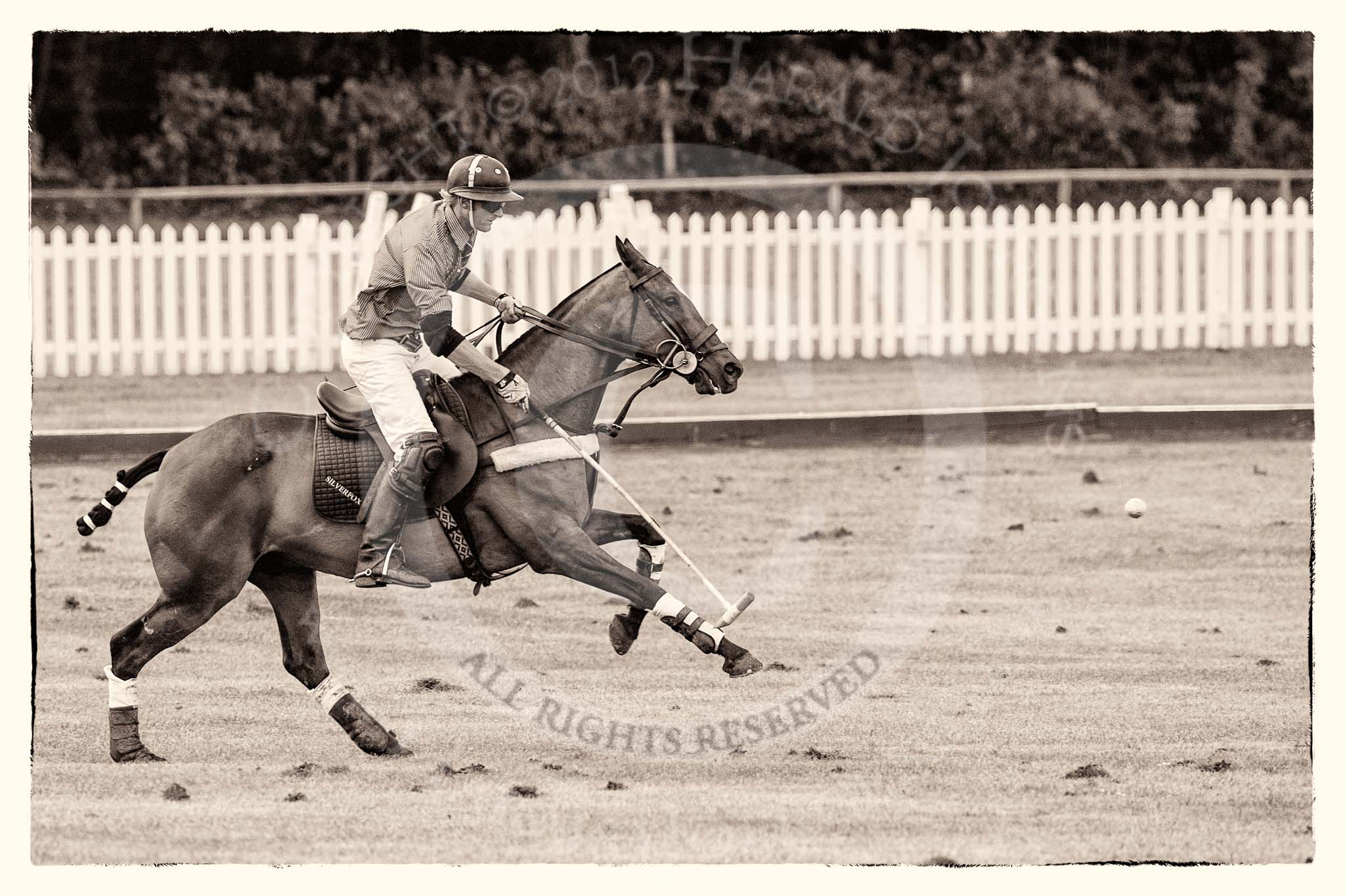 7th Heritage Polo Cup finals: Henry Fisher, Team Silver Fox USA..
Hurtwood Park Polo Club,
Ewhurst Green,
Surrey,
United Kingdom,
on 05 August 2012 at 13:39, image #38