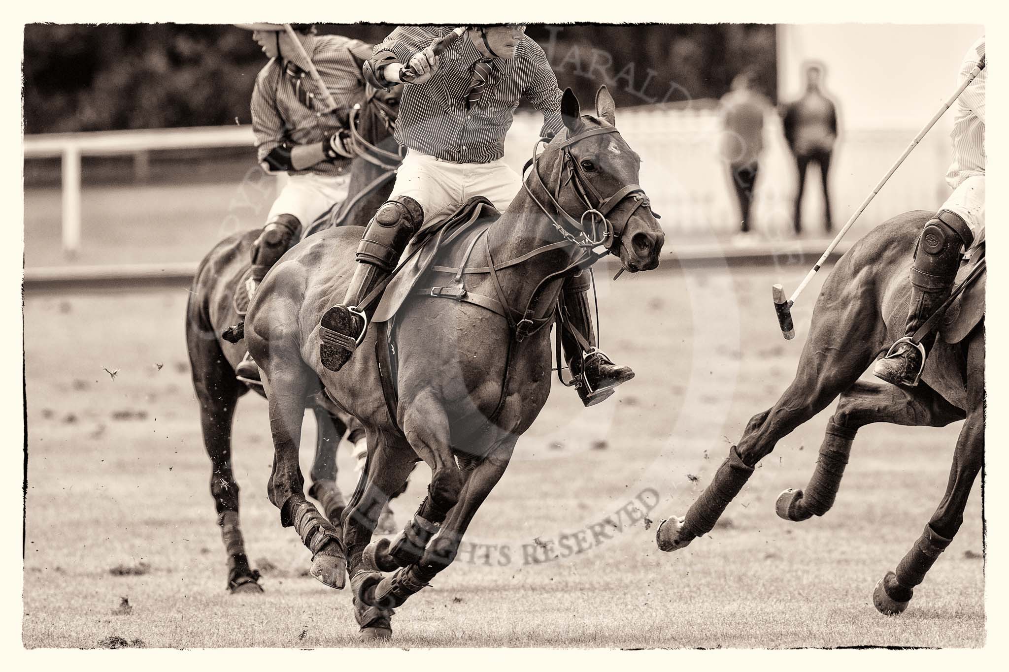 7th Heritage Polo Cup finals: Team Silver Fox USA, John Martin & James Rome following..
Hurtwood Park Polo Club,
Ewhurst Green,
Surrey,
United Kingdom,
on 05 August 2012 at 13:41, image #42