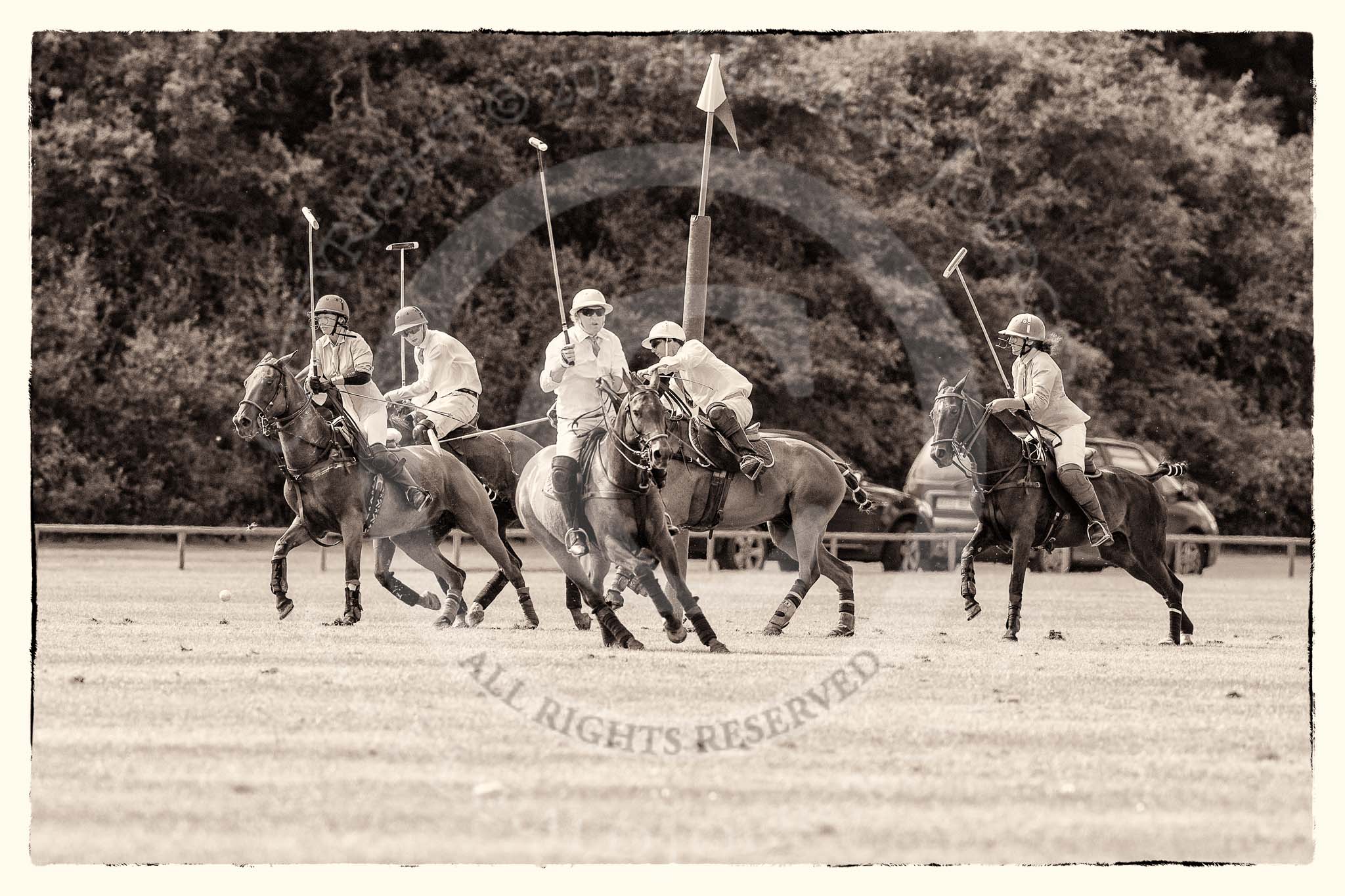 7th Heritage Polo Cup finals: La Golondrina Argentina changing direction with Paul Oberschneider..
Hurtwood Park Polo Club,
Ewhurst Green,
Surrey,
United Kingdom,
on 05 August 2012 at 15:43, image #190