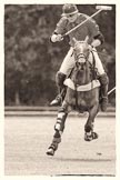 7th Heritage Polo Cup finals: Henry Fisher - Best Player of the 7th HERITAGE POLO CUP 2012..
Hurtwood Park Polo Club,
Ewhurst Green,
Surrey,
United Kingdom,
on 05 August 2012 at 13:36, image #32