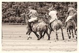 7th Heritage Polo Cup finals: John Martin, Team Silver Fox USA..
Hurtwood Park Polo Club,
Ewhurst Green,
Surrey,
United Kingdom,
on 05 August 2012 at 13:37, image #35