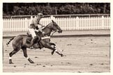 7th Heritage Polo Cup finals: Henry Fisher, Team Silver Fox USA..
Hurtwood Park Polo Club,
Ewhurst Green,
Surrey,
United Kingdom,
on 05 August 2012 at 13:39, image #38