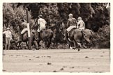 7th Heritage Polo Cup finals: Team Silver Fox USA, Parke Bradley..
Hurtwood Park Polo Club,
Ewhurst Green,
Surrey,
United Kingdom,
on 05 August 2012 at 13:40, image #41