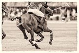 7th Heritage Polo Cup finals: Henry Fisher, Team Silver Fox USA, heading towards goal..
Hurtwood Park Polo Club,
Ewhurst Green,
Surrey,
United Kingdom,
on 05 August 2012 at 13:51, image #48