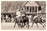 7th Heritage Polo Cup finals: Silver Fox USA v La Mariposa Argentina FINAL..
Hurtwood Park Polo Club,
Ewhurst Green,
Surrey,
United Kingdom,
on 05 August 2012 at 13:51, image #50