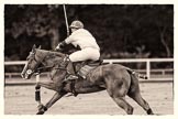 7th Heritage Polo Cup finals: Sebastian Funes..
Hurtwood Park Polo Club,
Ewhurst Green,
Surrey,
United Kingdom,
on 05 August 2012 at 13:58, image #55