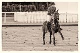 7th Heritage Polo Cup finals: Henry Fisher, Team Silver Fox USA..
Hurtwood Park Polo Club,
Ewhurst Green,
Surrey,
United Kingdom,
on 05 August 2012 at 14:00, image #58