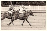 7th Heritage Polo Cup finals: La Mariposa Sebastian Funes closely follwed up by Henry Fisher..
Hurtwood Park Polo Club,
Ewhurst Green,
Surrey,
United Kingdom,
on 05 August 2012 at 14:00, image #59
