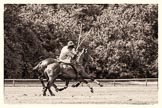 7th Heritage Polo Cup finals: John Martin hanging in there in a ride off from Sebastian Funes..
Hurtwood Park Polo Club,
Ewhurst Green,
Surrey,
United Kingdom,
on 05 August 2012 at 14:10, image #67