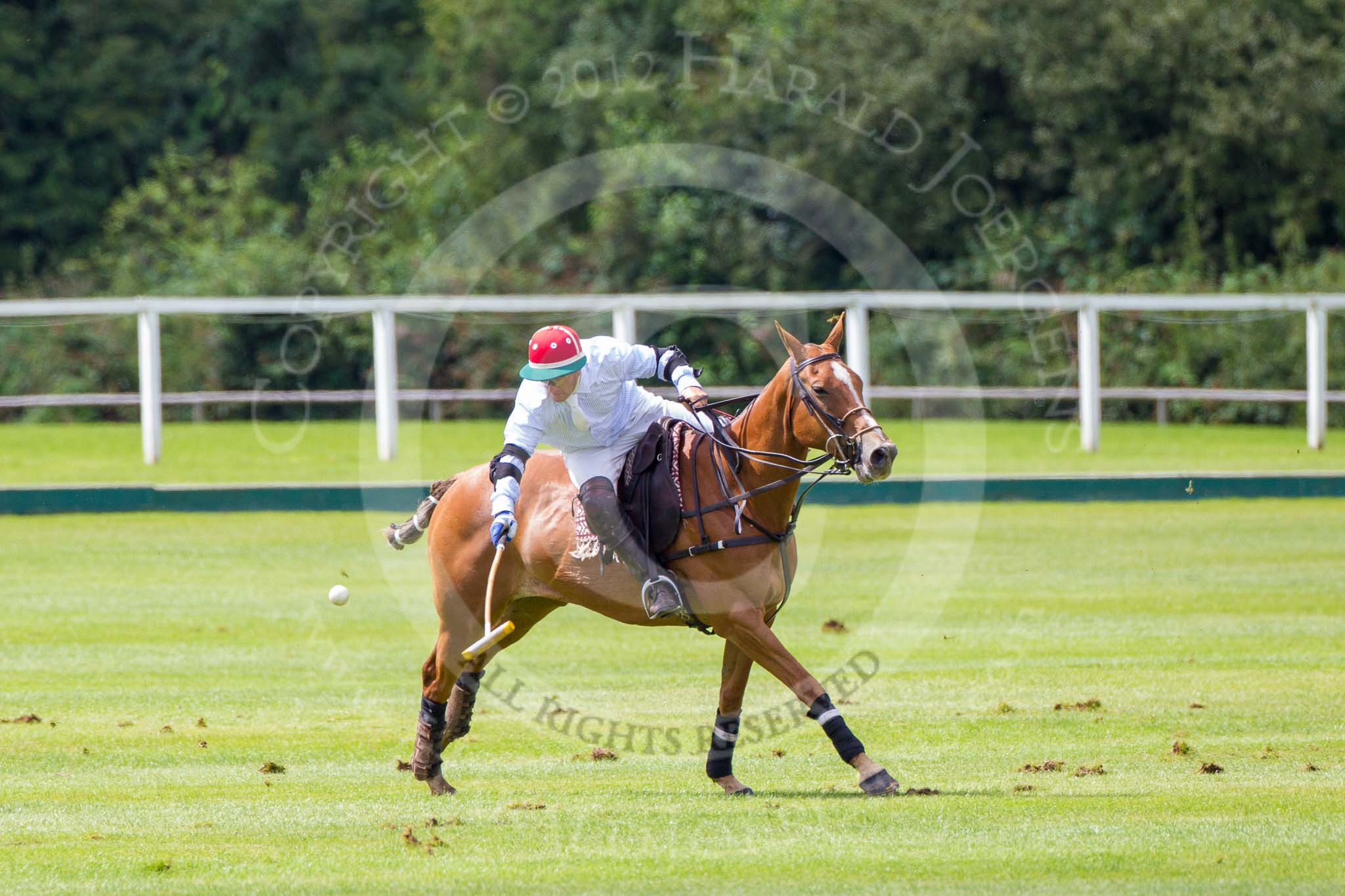 7th Heritage Polo Cup finals: Sebastian Funes..
Hurtwood Park Polo Club,
Ewhurst Green,
Surrey,
United Kingdom,
on 05 August 2012 at 13:33, image #28