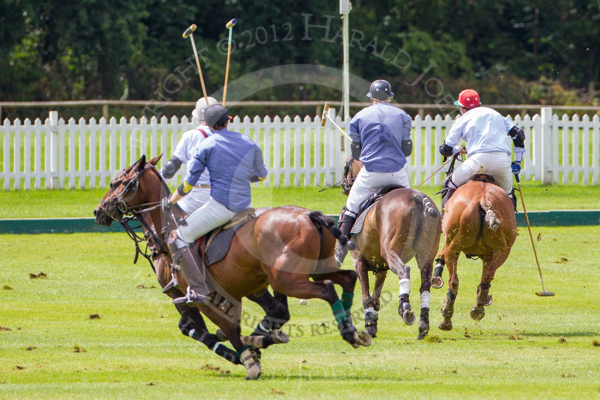7th Heritage Polo Cup finals: La Mariposa Sebastian Funes chasing the ball..
Hurtwood Park Polo Club,
Ewhurst Green,
Surrey,
United Kingdom,
on 05 August 2012 at 13:35, image #29