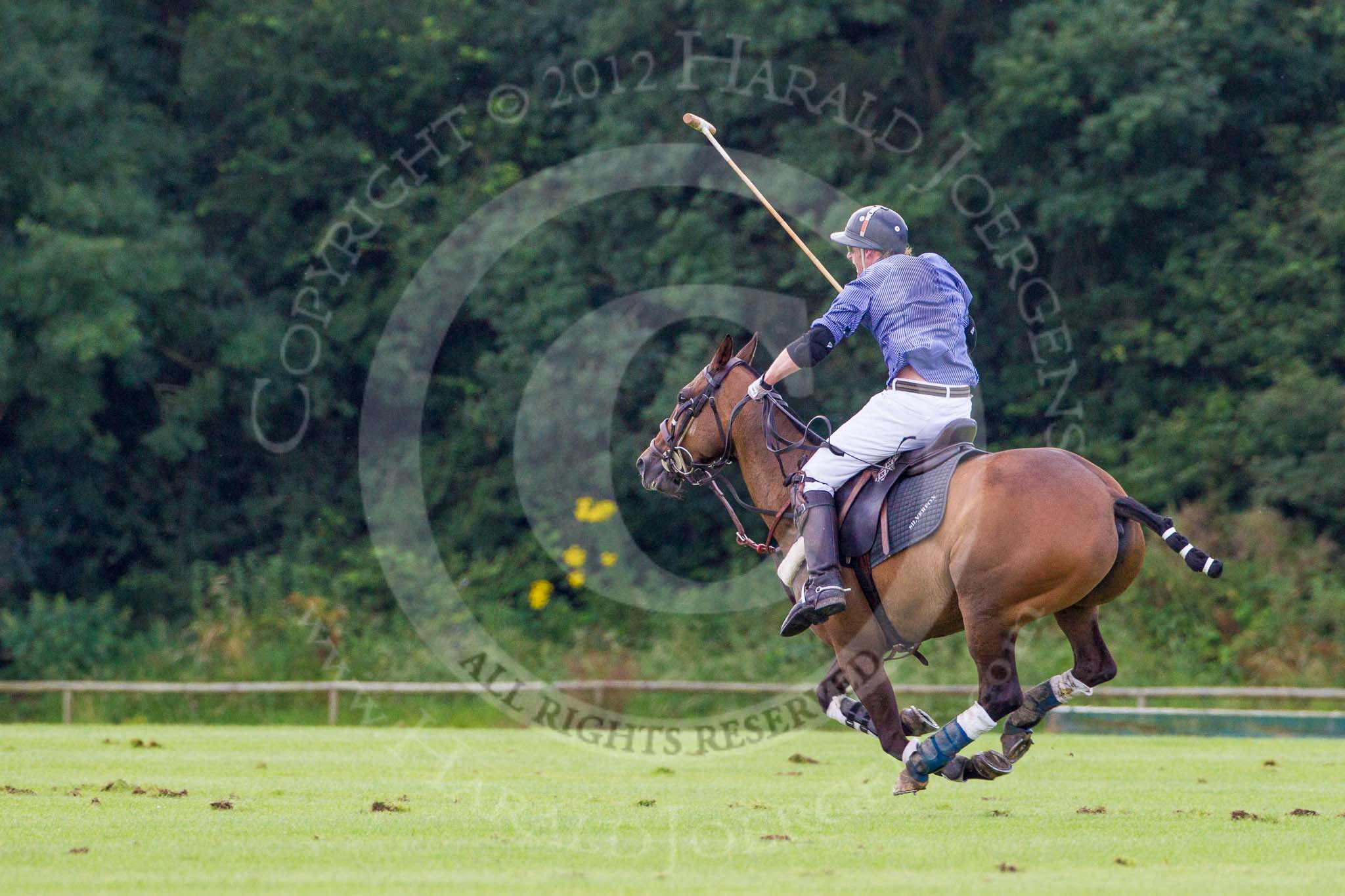 7th Heritage Polo Cup finals: Henry Fisher, Team Silver Fox USA..
Hurtwood Park Polo Club,
Ewhurst Green,
Surrey,
United Kingdom,
on 05 August 2012 at 13:59, image #57