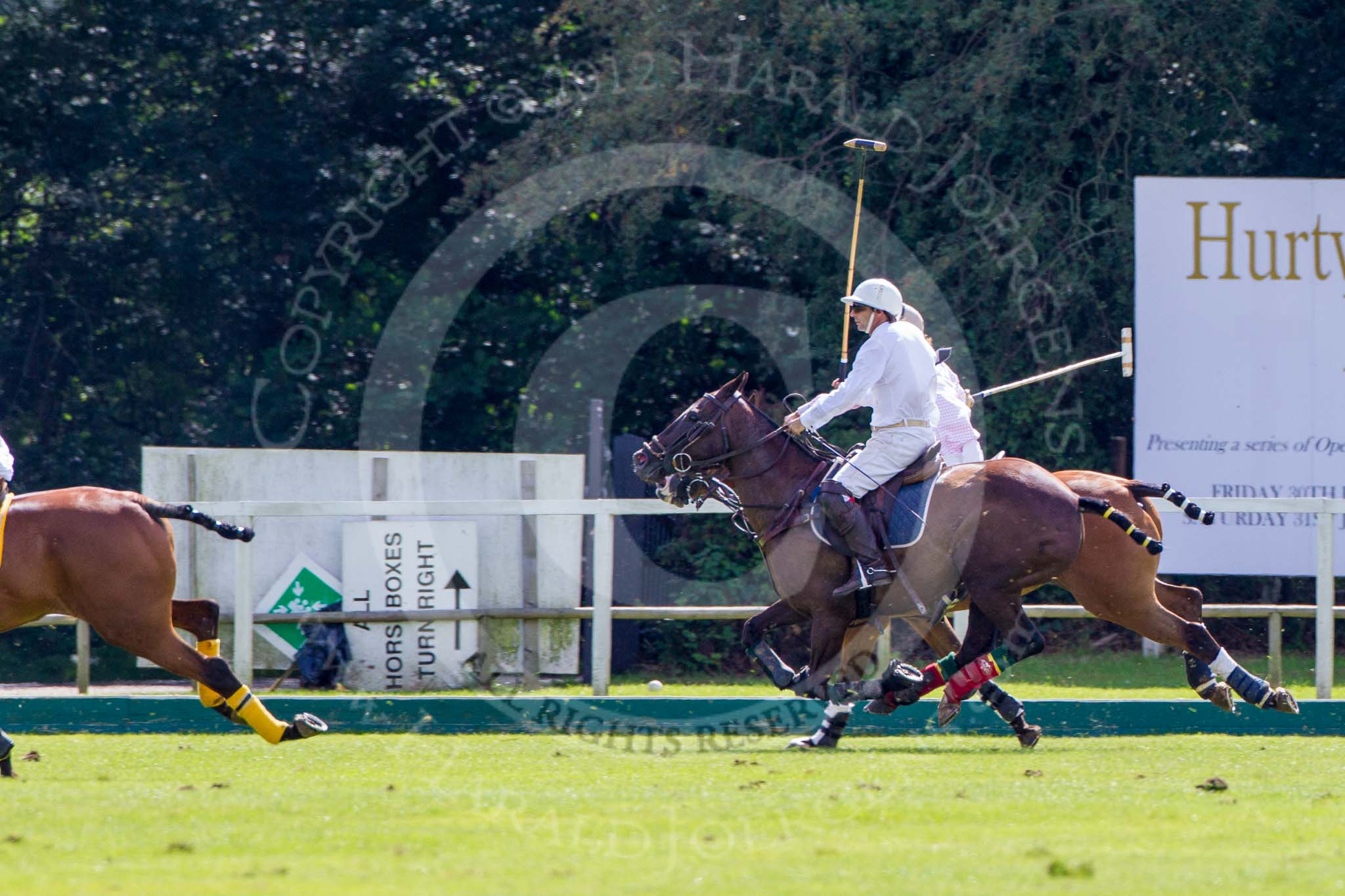7th Heritage Polo Cup finals: Pepe Riglos of La Golondrina Argentina Polo Team..
Hurtwood Park Polo Club,
Ewhurst Green,
Surrey,
United Kingdom,
on 05 August 2012 at 15:20, image #154