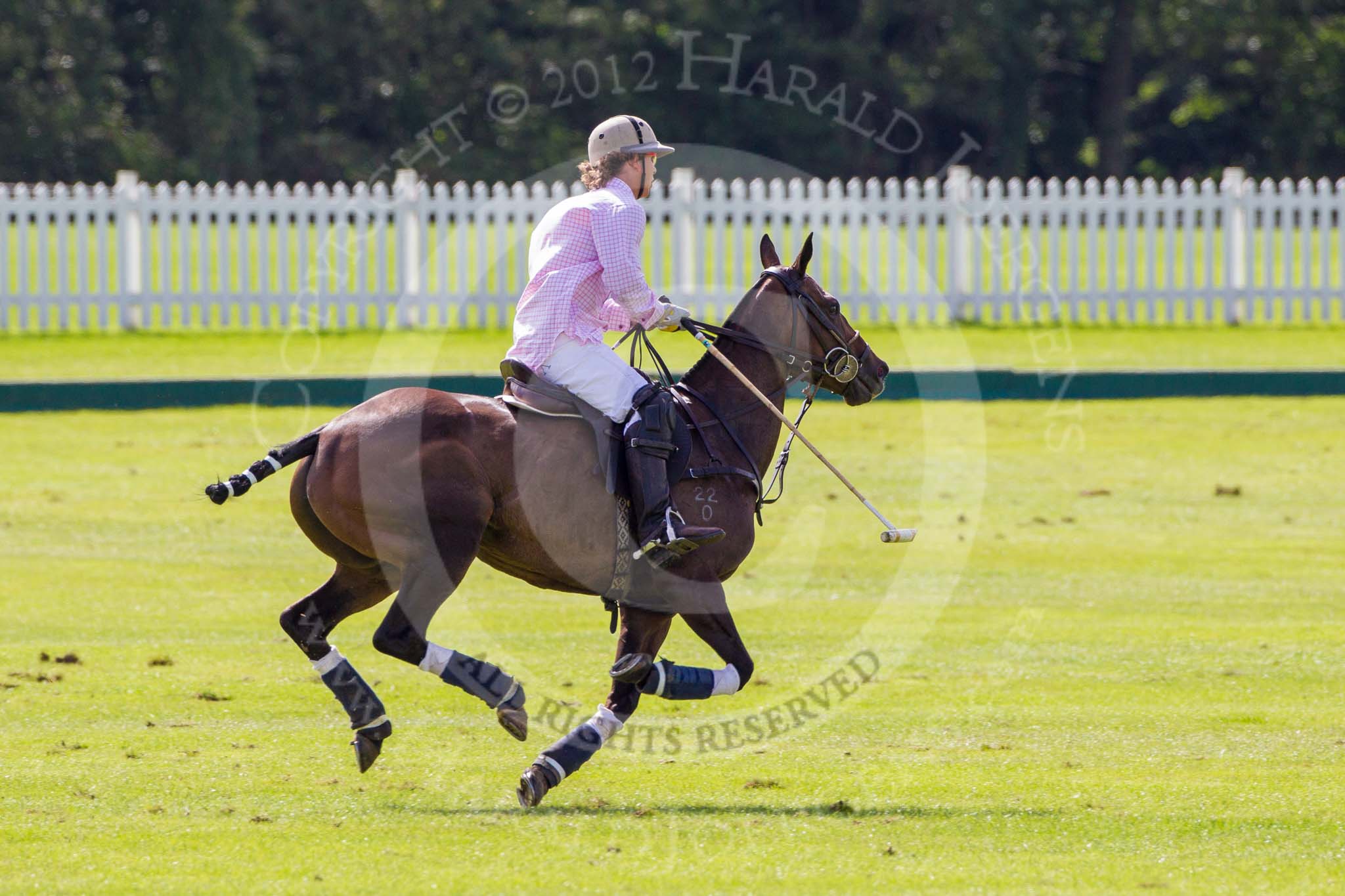 7th Heritage Polo Cup finals: Nico Talamoni Emerging Switzerland wearing T.M.Lewin Check Shirt in pink & pink silk tie..
Hurtwood Park Polo Club,
Ewhurst Green,
Surrey,
United Kingdom,
on 05 August 2012 at 15:37, image #180