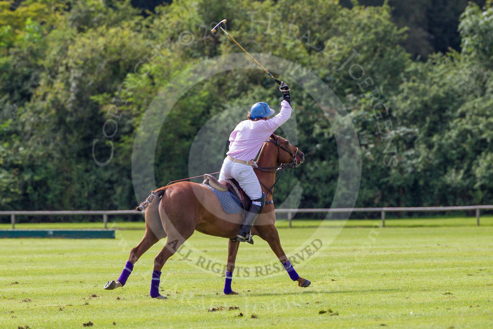7th Heritage Polo Cup finals: Justo Saveedra, Team Emerging Switzerland..
Hurtwood Park Polo Club,
Ewhurst Green,
Surrey,
United Kingdom,
on 05 August 2012 at 15:43, image #189