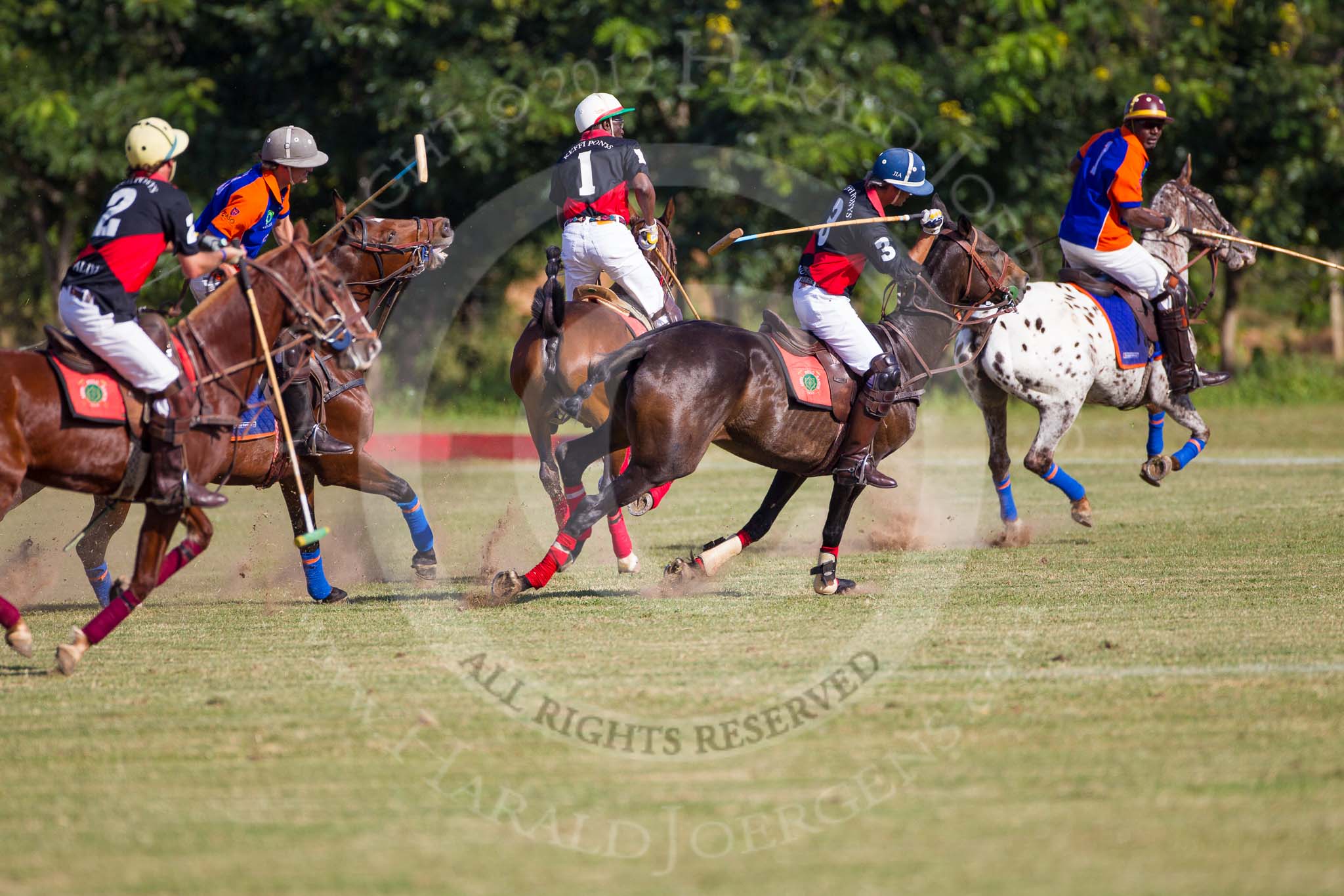 African Patrons Cup 2012 (Friday): Match Access Bank Fifth Chukker v Keffi Ponies: Selby Williamson, 
Ezequiel Martinez Ferrario, Hon. Ahmed Aliyu Wadada, Pepe Araya,  and Sayyu Dantata..
Fifth Chukker Polo & Country Club,
Kaduna,
Kaduna State,
Nigeria,
on 02 November 2012 at 15:42, image #36