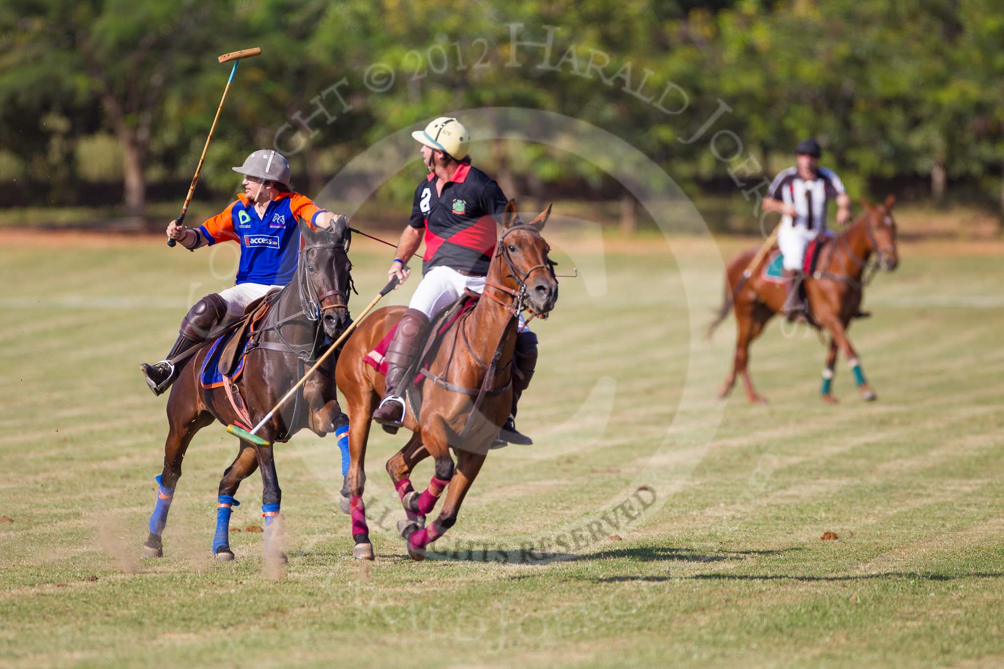 African Patrons Cup 2012 (Friday): Match Access Bank Fifth Chukker v Keffi Ponies: Ezequiel Martinez Ferrario v Selby Williamson..
Fifth Chukker Polo & Country Club,
Kaduna,
Kaduna State,
Nigeria,
on 02 November 2012 at 15:47, image #47