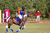 African Patrons Cup 2012 (Friday): Match Access Bank Fifth Chukker v Keffi Ponies: Adamu Atta playing the ball towards the goal..
Fifth Chukker Polo & Country Club,
Kaduna,
Kaduna State,
Nigeria,
on 02 November 2012 at 15:38, image #19