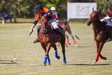 African Patrons Cup 2012 (Friday): Match Access Bank Fifth Chukker v Keffi Ponies: Pedro Fernandez Llorente and Ibrahim 'Rambo' Mohammed..
Fifth Chukker Polo & Country Club,
Kaduna,
Kaduna State,
Nigeria,
on 02 November 2012 at 15:40, image #27