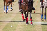 African Patrons Cup 2012 (Friday).
Fifth Chukker Polo & Country Club,
Kaduna,
Kaduna State,
Nigeria,
on 02 November 2012 at 15:42, image #33