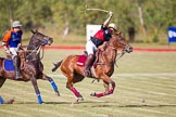 African Patrons Cup 2012 (Friday): Match Access Bank Fifth Chukker v Keffi Ponies: Ezequiel Martinez Ferrario v Selby Williamson..
Fifth Chukker Polo & Country Club,
Kaduna,
Kaduna State,
Nigeria,
on 02 November 2012 at 15:47, image #52