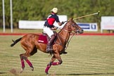 African Patrons Cup 2012 (Friday): Match Access Bank Fifth Chukker v Keffi Ponies:  Selby Williamson..
Fifth Chukker Polo & Country Club,
Kaduna,
Kaduna State,
Nigeria,
on 02 November 2012 at 15:47, image #53