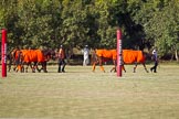 African Patrons Cup 2012 (Friday).
Fifth Chukker Polo & Country Club,
Kaduna,
Kaduna State,
Nigeria,
on 02 November 2012 at 15:54, image #66
