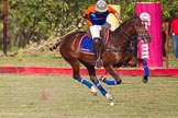 African Patrons Cup 2012 (Friday): Match Access Bank Fifth Chukker v Keffi Ponies:  Ezequiel Martinez Ferrario..
Fifth Chukker Polo & Country Club,
Kaduna,
Kaduna State,
Nigeria,
on 02 November 2012 at 15:57, image #67