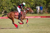 African Patrons Cup 2012 (Friday): Match Access Bank Fifth Chukker v Keffi Ponies:  Hon. Ahmed Aliyu Wadada..
Fifth Chukker Polo & Country Club,
Kaduna,
Kaduna State,
Nigeria,
on 02 November 2012 at 16:05, image #71