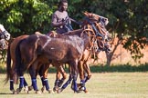 African Patrons Cup 2012 (Friday).
Fifth Chukker Polo & Country Club,
Kaduna,
Kaduna State,
Nigeria,
on 02 November 2012 at 16:06, image #73
