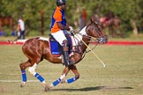 African Patrons Cup 2012 (Friday): Match Access Bank Fifth Chukker v Keffi Ponies:  Adamu Atta..
Fifth Chukker Polo & Country Club,
Kaduna,
Kaduna State,
Nigeria,
on 02 November 2012 at 16:09, image #77