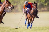 African Patrons Cup 2012 (Friday): Match Access Bank Fifth Chukker v Keffi Ponies:  Ezequiel Martinez Ferrario..
Fifth Chukker Polo & Country Club,
Kaduna,
Kaduna State,
Nigeria,
on 02 November 2012 at 16:11, image #78