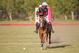 African Patrons Cup 2012 (Friday): Match Access Bank Fifth Chukker v Keffi Ponies: Ibrahim 'Rambo' Mohammed and Hon. Ahmed Aliyu Wadada behind..
Fifth Chukker Polo & Country Club,
Kaduna,
Kaduna State,
Nigeria,
on 02 November 2012 at 16:38, image #80