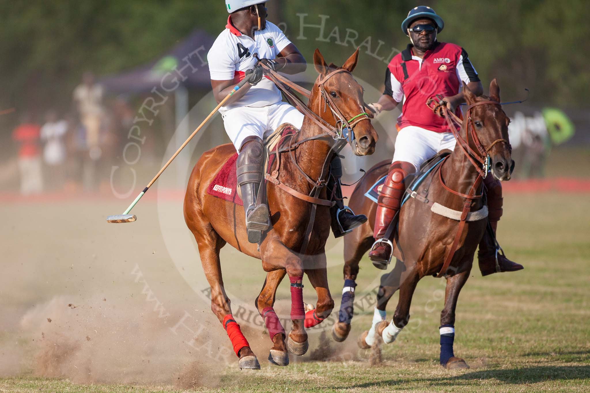 African Patrons Cup 2012, Semi-Finals.
Fifth Chukker Polo & Country Club,
Kaduna,
Kaduna State,
Nigeria,
on 03 November 2012 at 16:28, image #38