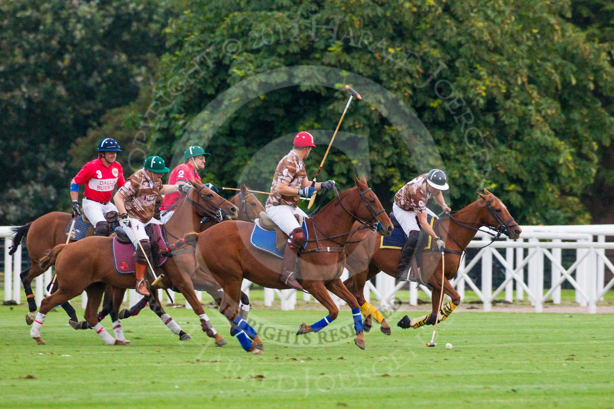 DBPC Polo in the Park 2012: DBPC v Royal Artillery. Karl-Ude Martinez playing the ball..
Dallas Burston Polo Club,
Stoneythorpe Estate,
Southam,
Warwickshire,
United Kingdom,
on 16 September 2012 at 18:54, image #332