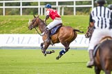 Photo 1209161149261D45544HaraldJoergens DBPC Polo in the Park 2012: Phoenix Polo Team #3, Tomy Iriarte..
Dallas Burston Polo Club,
Stoneythorpe Estate,
Southam,
Warwickshire,
United Kingdom,
on 16 September 2012 at 11:49, image #105