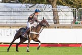 DBPC Polo in the Park 2012: Rigby & Rigby #4, Matias Amaya..
Dallas Burston Polo Club,
Stoneythorpe Estate,
Southam,
Warwickshire,
United Kingdom,
on 16 September 2012 at 17:06, image #268