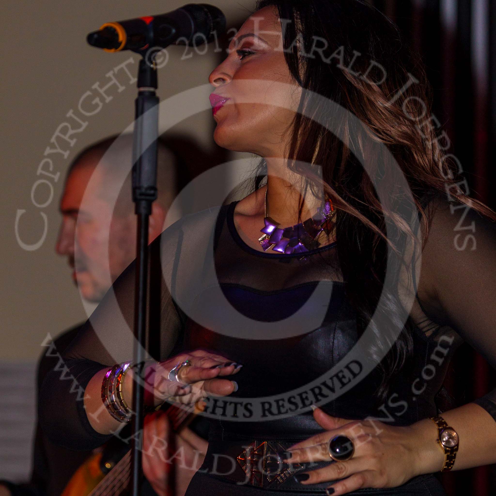 Grand Opening of the DBPC IXL Event Centre: Kym Mazelle & the Urban Blues Band - Michelle J - backing vocals..
Dallas Burston Polo Club, Stoneythorpe Estate,
Southam,
Warwickshire,
United Kingdom,
on 05 December 2013 at 21:48, image #201