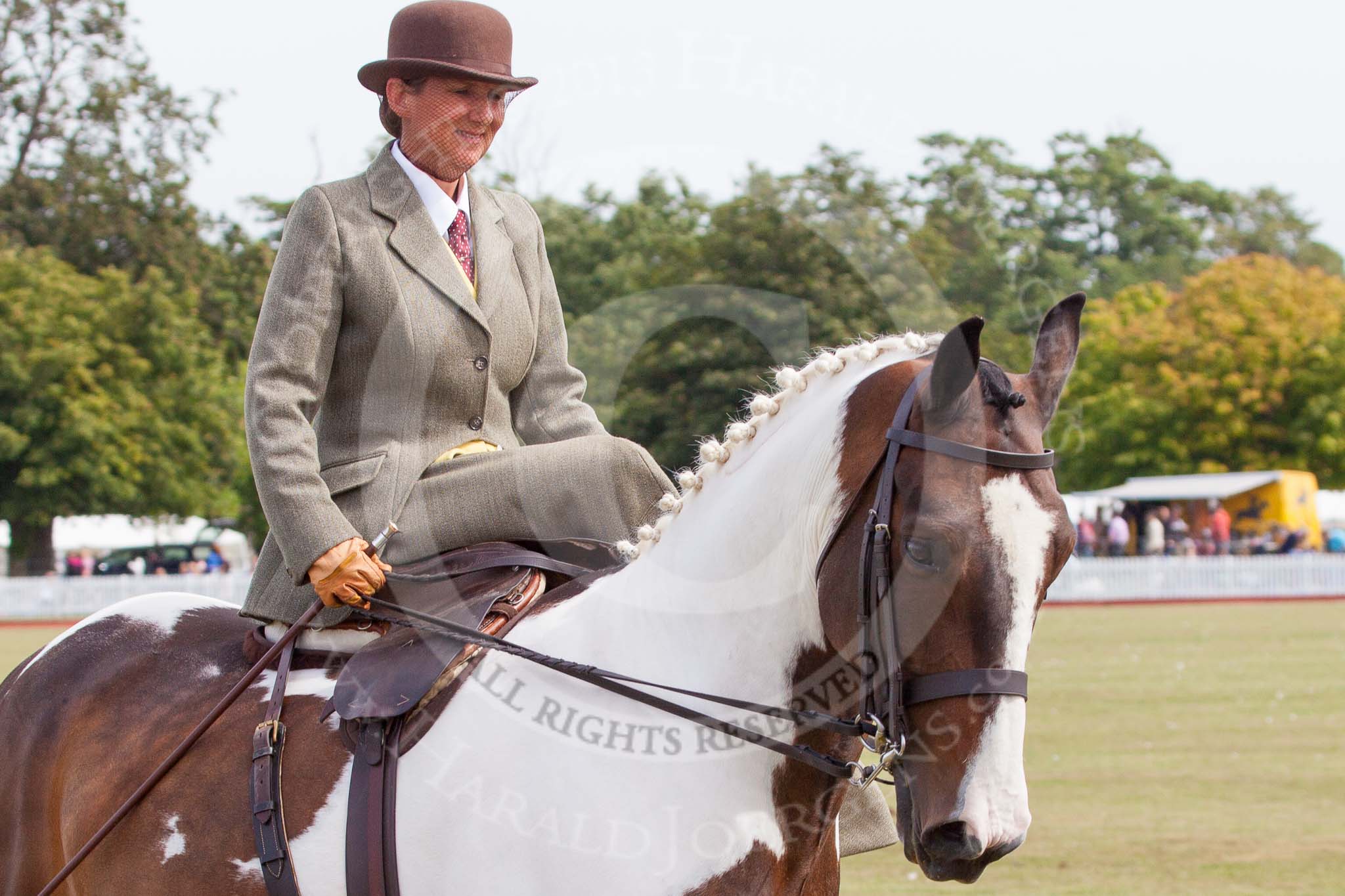 DBPC Polo in the Park 2013, side saddle riding demonstration by the The Side Saddle Association..
Dallas Burston Polo Club, ,
Southam,
Warwickshire,
United Kingdom,
on 01 September 2013 at 12:53, image #239