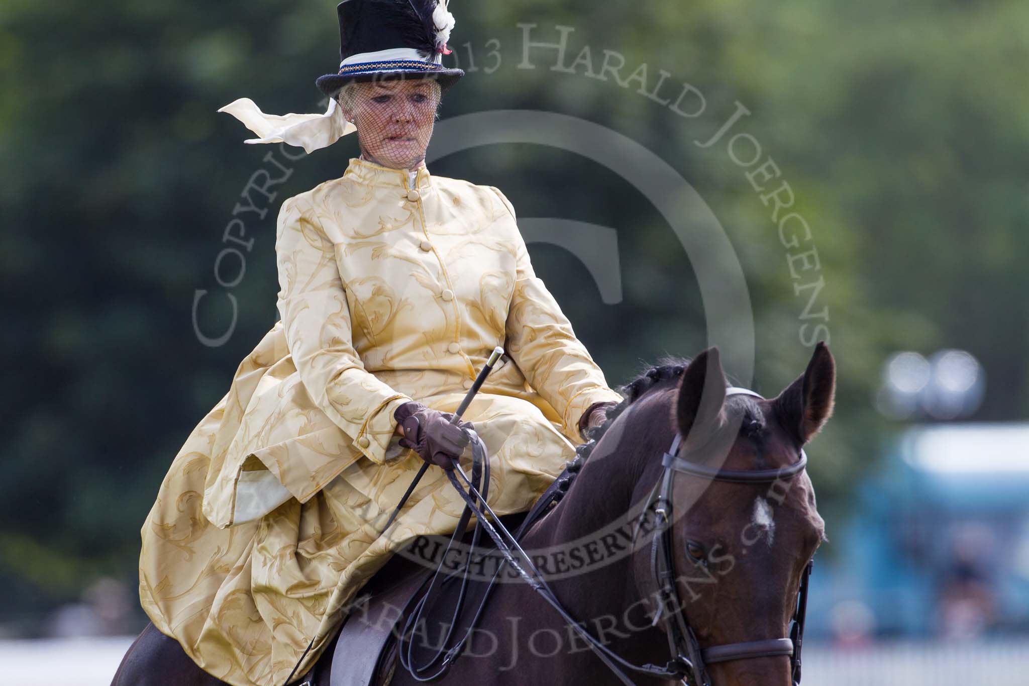 DBPC Polo in the Park 2013, side saddle riding demonstration by the The Side Saddle Association..
Dallas Burston Polo Club, ,
Southam,
Warwickshire,
United Kingdom,
on 01 September 2013 at 13:02, image #281