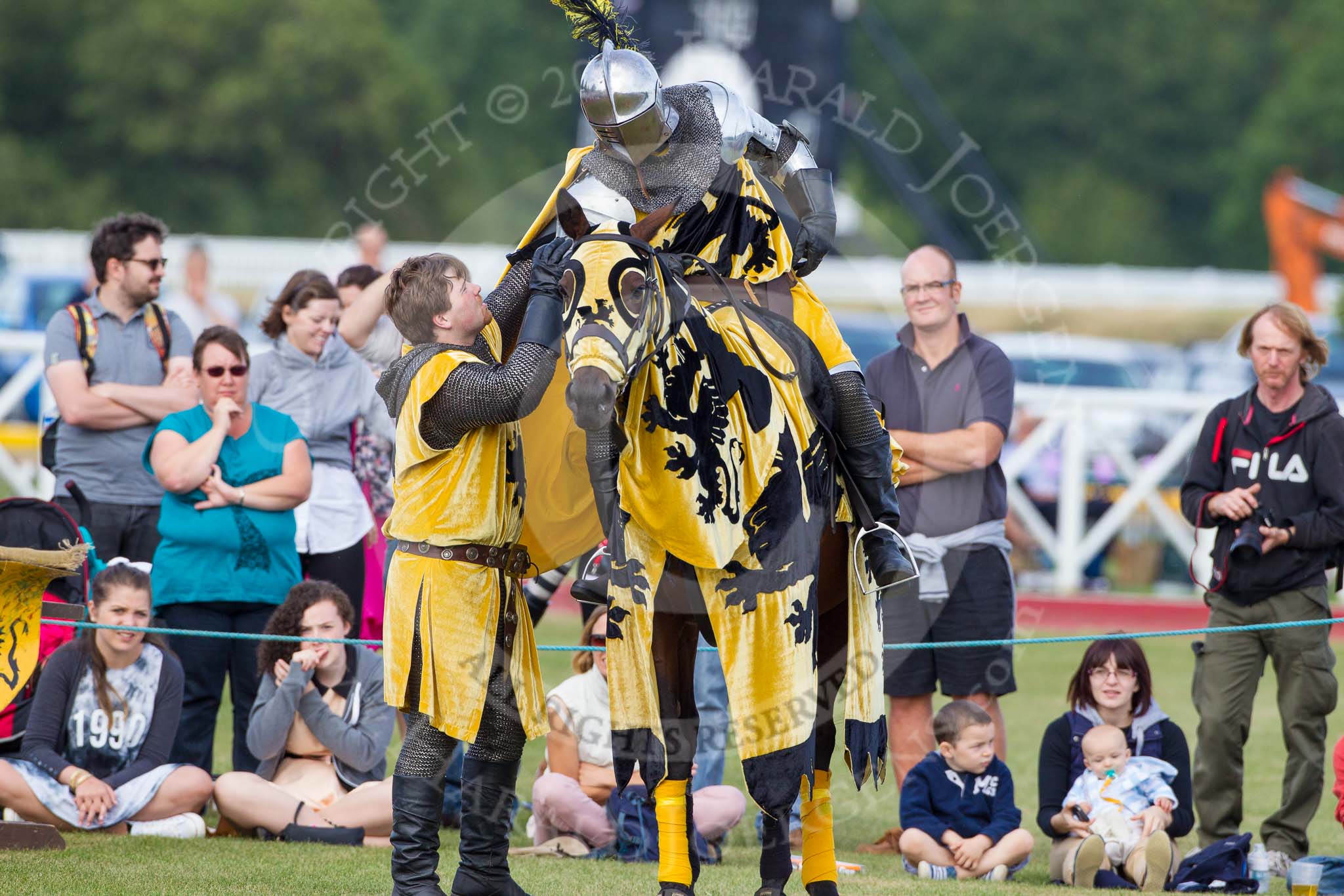 DBPC Polo in the Park 2013 - jousting display by the Knights of Middle England.
Dallas Burston Polo Club, ,
Southam,
Warwickshire,
United Kingdom,
on 01 September 2013 at 15:21, image #452