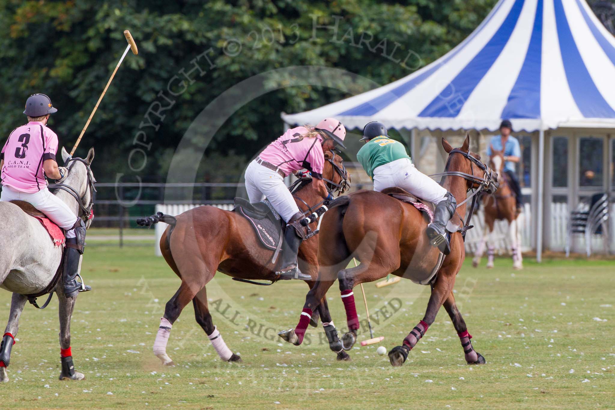 DBPC Polo in the Park 2013, Final of the Tusk Trophy (4 Goals), Rutland vs C.A.N.I..
Dallas Burston Polo Club, ,
Southam,
Warwickshire,
United Kingdom,
on 01 September 2013 at 16:40, image #608