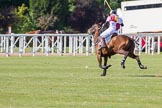 DBPC Polo in the Park 2013, Subsidiary Final Amaranther Trophy (0 Goal), Leadenham vs Kingsbridge.
Dallas Burston Polo Club, ,
Southam,
Warwickshire,
United Kingdom,
on 01 September 2013 at 10:33, image #44