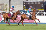 DBPC Polo in the Park 2013, Subsidiary Final Amaranther Trophy (0 Goal), Leadenham vs Kingsbridge.
Dallas Burston Polo Club, ,
Southam,
Warwickshire,
United Kingdom,
on 01 September 2013 at 10:51, image #68