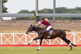 DBPC Polo in the Park 2013, Final of the Amaranther Trophy (0 Goal), Bucking Broncos vs The Inn Team.
Dallas Burston Polo Club, ,
Southam,
Warwickshire,
United Kingdom,
on 01 September 2013 at 12:05, image #151