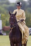 DBPC Polo in the Park 2013, side saddle riding demonstration by the The Side Saddle Association..
Dallas Burston Polo Club, ,
Southam,
Warwickshire,
United Kingdom,
on 01 September 2013 at 13:01, image #272