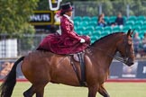 DBPC Polo in the Park 2013, side saddle riding demonstration by the The Side Saddle Association..
Dallas Burston Polo Club, ,
Southam,
Warwickshire,
United Kingdom,
on 01 September 2013 at 13:02, image #276